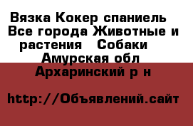 Вязка Кокер спаниель - Все города Животные и растения » Собаки   . Амурская обл.,Архаринский р-н